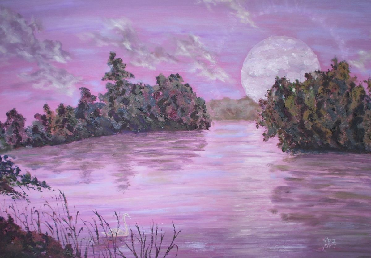 Prayers for Hitbodedut by Rabbi Eliezer Berland Shlit"a