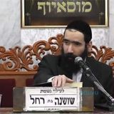 פרשת קרח: הגאון רבי ישראל שרת שליט"א זועק על הרדיפה הנוראית כנגד הצדיק הרב אליעזר ברלנד שליט"א