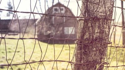 Listen: Rabbi Itamar Rafael Gives a Lesson at the Chochmah V'Daat Yeshiva Under the Presidency of Our Teacher the Rav shlit"a - The Complex Reality of Our Teacher Rabbi Eliezer Berland shlit"a