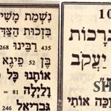 תפילה של הגה"צ הרב אליעזר ברלנד שליט"א לפרשת תולדות - "לזכות בברכות שיצחק ברך את יעקב"