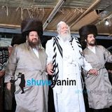 גלריית תמונות מרהיבה מההקפות שניות עם הגה"צ הרב אליעזר ברלנד שליט"א