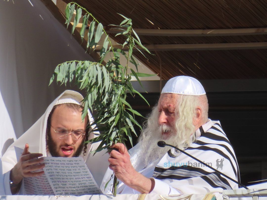 חובטים את הערבות שנהפוך לאין ואפס • משא הקודש מהגה"צ רבי אליעזר ברלנד שליט"א ביום הקדוש הושענא רבא