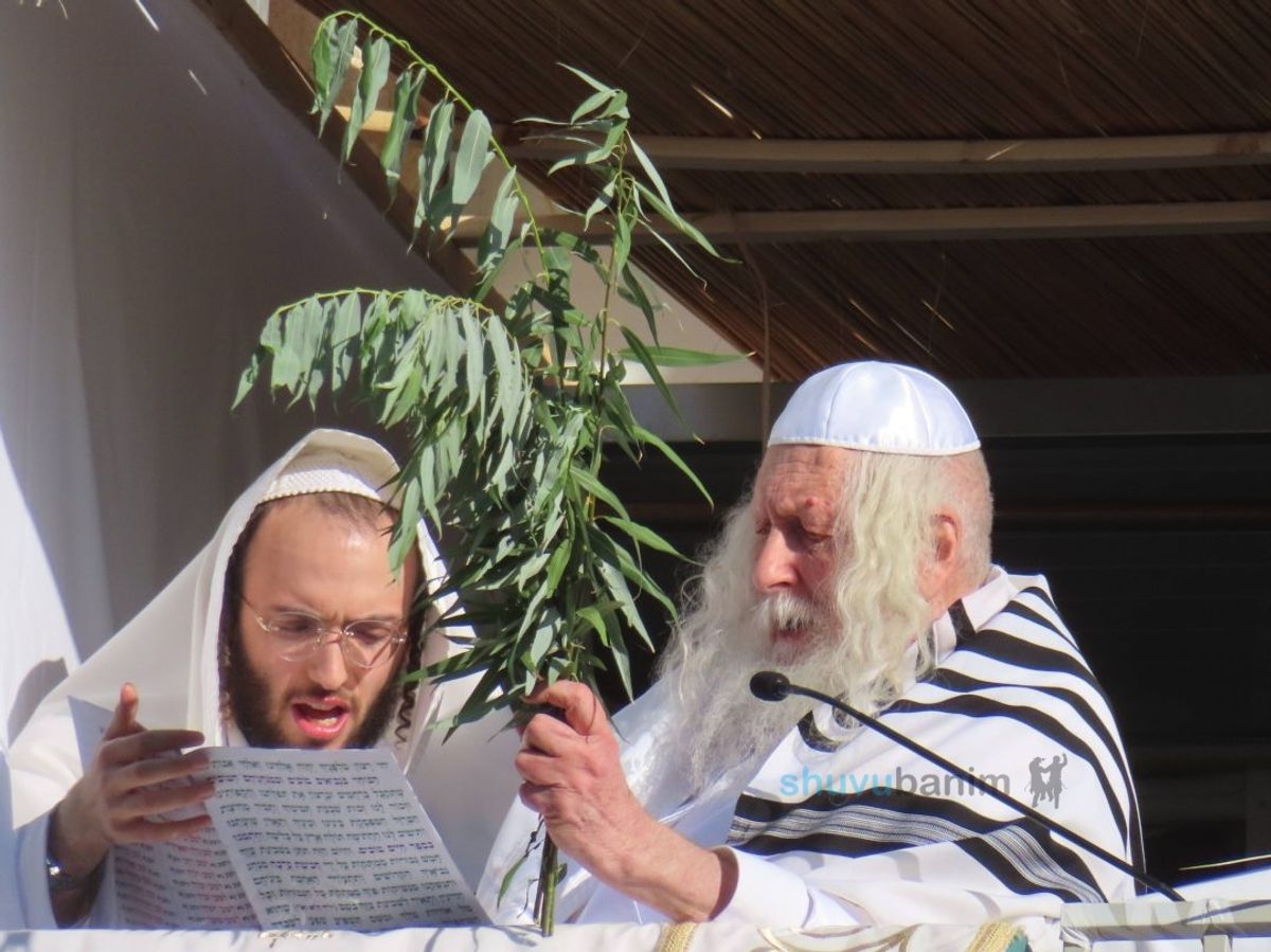 חובטים את הערבות שנהפוך לאין ואפס • משא הקודש מהגה"צ רבי אליעזר ברלנד שליט"א ביום הקדוש הושענא רבא