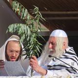 חובטים את הערבות שנהפוך לאין ואפס • משא הקודש מהגה"צ רבי אליעזר ברלנד שליט"א ביום הקדוש הושענא רבא