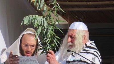 חובטים את הערבות שנהפוך לאין ואפס • משא הקודש מהגה"צ רבי אליעזר ברלנד שליט"א ביום הקדוש הושענא רבא