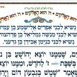 סוד הנשיאים - אפרים, מנשה ובנימין • המאמר היומי מהגה"צ רבי אליעזר ברלנד שליט"א