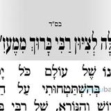 תפילה לציון רבי ברוך ממעזיבוז' מהגה"צ רבי אליעזר ברלנד שליט"א  • ליומא דהילולא