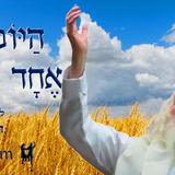 הַיּוֹם יוֹם אֶחָד לָעֹמֶר • נוסח ספירת העומר ותפילה מהגה"צ רבי אליעזר ברלנד שליט"א לחסד שבחסד