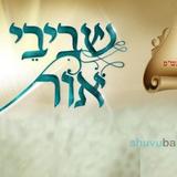 עלון שביבי אור פרשת אמור תש"פ - מחידושי תורתו של הגה"צ הרב אליעזר ברלנד שליט"א