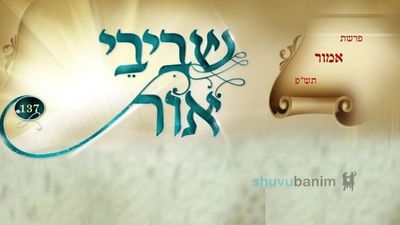 עלון שביבי אור פרשת אמור תש"פ - מחידושי תורתו של הגה"צ הרב אליעזר ברלנד שליט"א