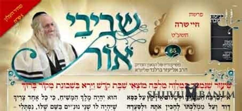 דברי הגה"צ הרב אליעזר ברלנד משיעוריו האחרונים - עלון שביבי אור 65 לחיי שרה