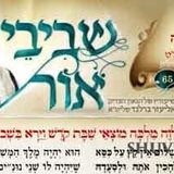 דברי הגה"צ הרב אליעזר ברלנד משיעוריו האחרונים - עלון שביבי אור 65 לחיי שרה