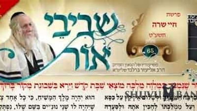 דברי הגה"צ הרב אליעזר ברלנד משיעוריו האחרונים - עלון שביבי אור 65 לחיי שרה