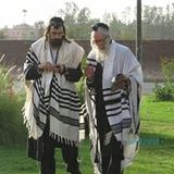 "הספרים שלי מנקים את העולם" דברי הגה"צ הרב אליעזר ברלנד שליט"א