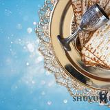 תפילה להוציא את השכינה מהגלות בפסח - הגה"צ הרב אליעזר ברלנד שליט"א