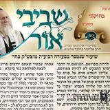 שביבי אור פרשת נשא