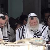 "וְנַהֲפוֹךְ הוּא, אֲשֶׁר יִשְׁלְטוּ הַיְּהוּדִים" • תיעוד נרחב מתפילת שחרית וקריאת המגילה יום הפורים