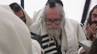 האזינו: סבא, מה הם עושים לך שם למעלה?! ניסים של הגה"צ הרב אליעזר ברלנד שליט"א