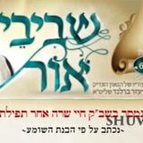 דברי הגה"צ הרב אליעזר ברלנד שליט"א מהשבוע החולף - עלון שבבי אור לפרשת תולדות