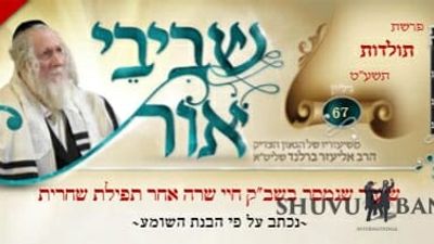 דברי הגה"צ הרב אליעזר ברלנד שליט"א מהשבוע החולף - עלון שבבי אור לפרשת תולדות