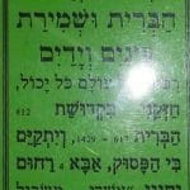 הספר 'אחד בדור' חלק 1 - כל האמת על הצדיק יסוד עולם, הגה