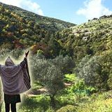 צדיק נסתר שחזה מראש את אסון מירון מגלה איך להינצל לעתיד לבוא