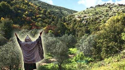 צדיק נסתר שחזה מראש את אסון מירון מגלה איך להינצל לעתיד לבוא