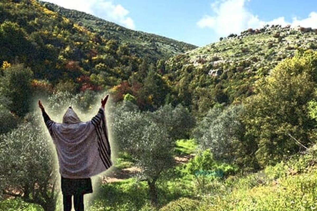 צדיק נסתר שחזה מראש את אסון מירון מגלה איך להינצל לעתיד לבוא