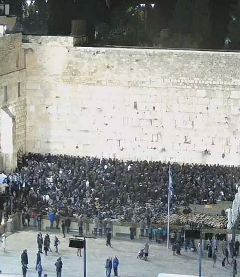 לקיים בני חכמי ישראל  • הגה"צ רבי אליעזר ברלנד שליט"א זקוק לתפילות לרפואה שלמה