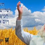 הַיּוֹם שִּׁשָׁה וּשְׁלוֹשִׁים יוֹם לָעוֹמֶר • נוסח ספירת העומר ותפילה מהגה"צ רבי אליעזר ברלנד שליט"א לחסד שביסוד