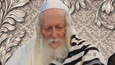 כָּל הָעִנְיָן שֶׁל לֵיל הַסֵּדֶר הוּא לְהַחֲזִיר אֶת הָאוֹר אֵין סוֹף • חג הפסח מהגה"צ רבי אליעזר ברלנד שליט"א