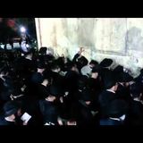 יותר מאלף איש הגיעו למערת המכפלה ע"פ הוראת הגה"צ הרב אליעזר ברלנד שליט"א