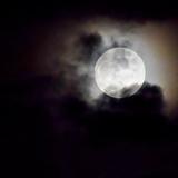 כזה ראה וקדש