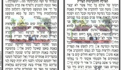 צפו: עצרת תפילה בחברון לשחרורו של הגה"צ הרב אליעזר ברלנד שליט"א