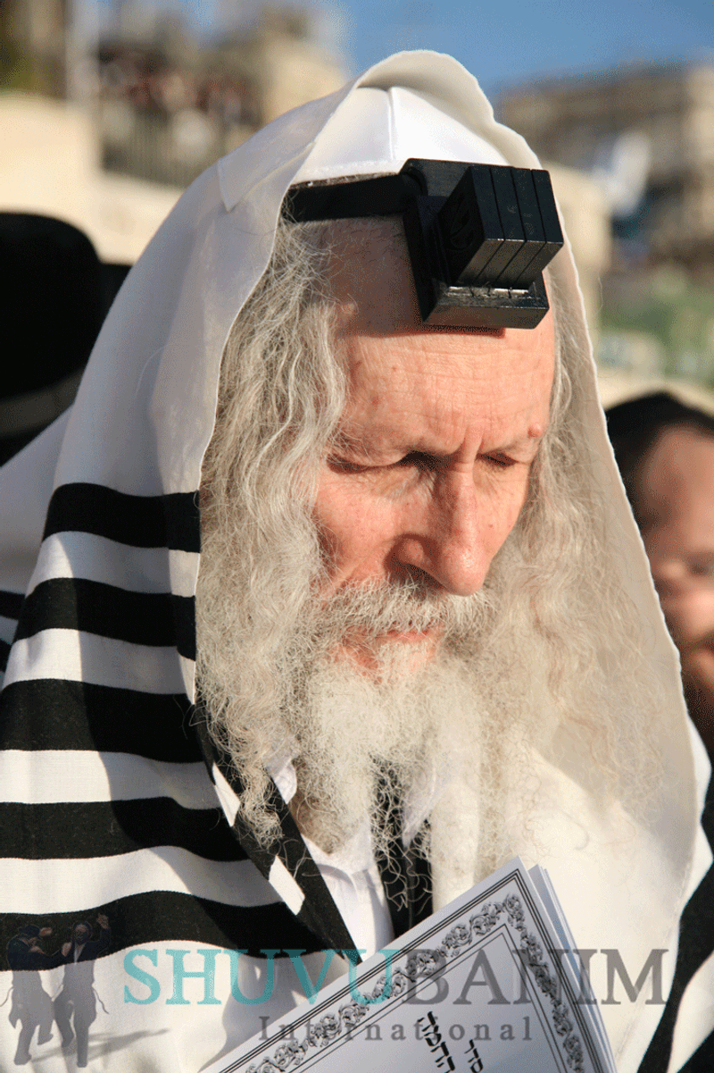 האם המשיח יגיע במוצאי ט"ו בשבט? האזינו לדברי הרב אליעזר ברלנד שליט"א בשיחה