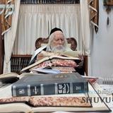 תּוֹרָתְךָ שַׁעֲשׁוּעַי • תיעוד נדיר מתוך הקודש פנימה של הגה"צ רבי אליעזר ברלנד שליט"א בלימוד