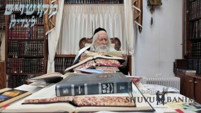 תּוֹרָתְךָ שַׁעֲשׁוּעַי • תיעוד נדיר מתוך הקודש פנימה של הגה"צ רבי אליעזר ברלנד שליט"א בלימוד