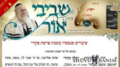 דברי הגה"צ הרב אליעזר ברלנד שליט"א מהשבוע החולף - עלון שביבי אור לפרשת ויקרא