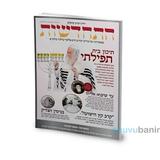 בשורה משמחת - יצא לאור הגיליון 'התחדשות' שרבים ציפו לו.