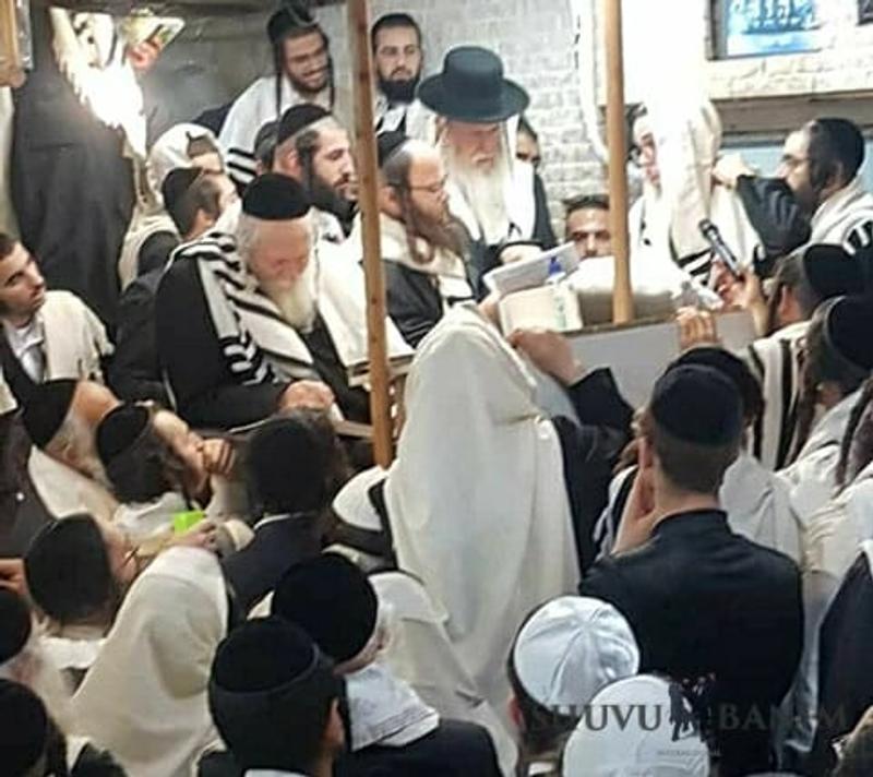 סיקור שבת פרשת ראה במחיצת הגה"צ הרב אליעזר ברלנד שליט"א