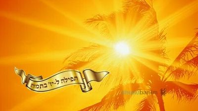 תפילה מיוחדת לי"ז בתמוז - הגה"צ הרב אליעזר ברלנד שליט"א