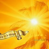 תפילה מיוחדת לי"ז בתמוז - הגה"צ הרב אליעזר ברלנד שליט"א