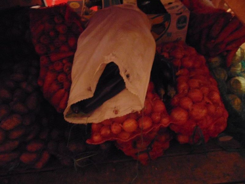 DSC00612