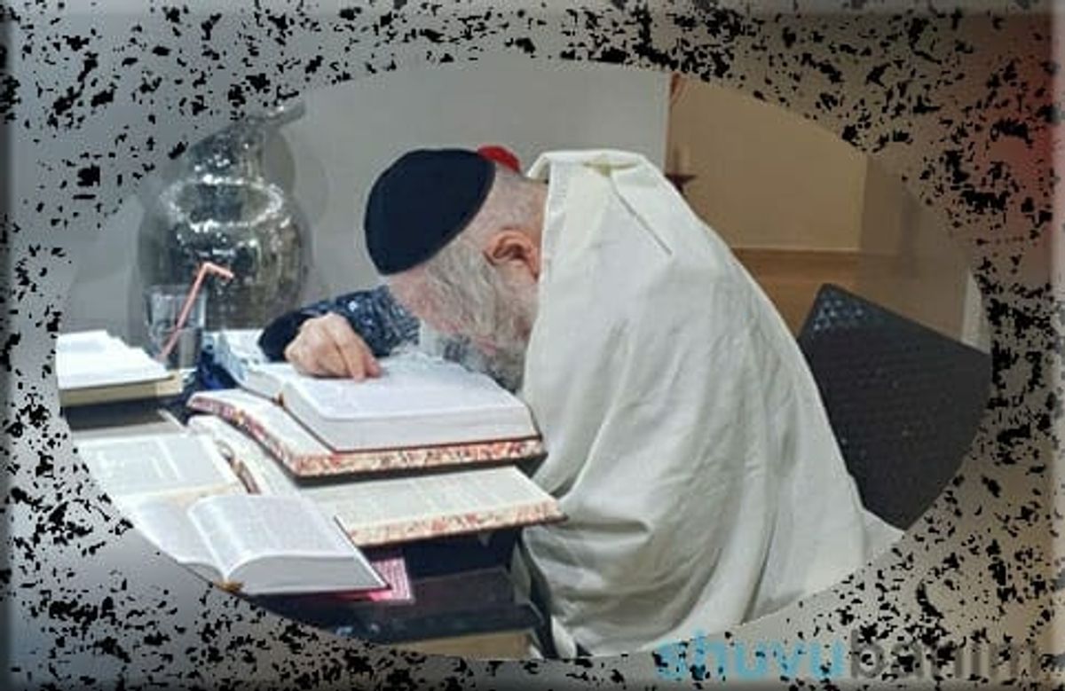 גלריית תמונות מהחופשה של הגה"צ הרב אליעזר ברלנד שליט"א