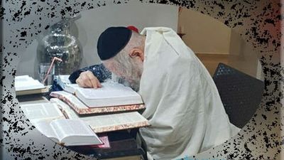 גלריית תמונות מהחופשה של הגה"צ הרב אליעזר ברלנד שליט"א