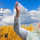 הַיּוֹם שְׁלוֹשִׁים יוֹם לָעֹמֶר • נוסח ספירת העומר ותפילה מהגה"צ רבי אליעזר ברלנד שליט"א לגבורה שבהוד