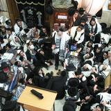 האדם אחראי על מעשי בראשית | פרשת ויחי מהגה"צ הרב אליעזר ברלנד שליט"א