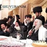 צפו: הגה"צ הרב אליעזר ברלנד שליט"א בשבע ברכות של נכדת האדמו"ר מספינקא בני ברק - גלריית תמונות מרהיבה