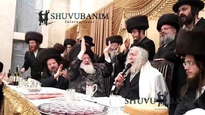 צפו: הגה"צ הרב אליעזר ברלנד שליט"א בשבע ברכות של נכדת האדמו"ר מספינקא בני ברק - גלריית תמונות מרהיבה