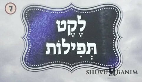 קונטרסי תפילה של הגה"צ הרב אליעזר ברלנד שליט"א מענייני החיים